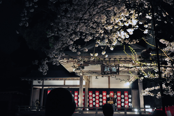 塩釜神社　神々の花灯り_b0197098_064249.jpg