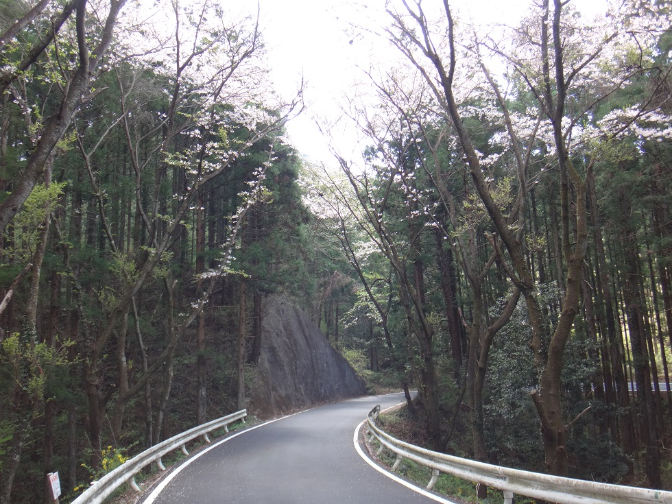 b0092300_0352955.jpg