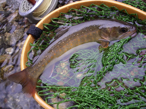 c0180802_20304920.jpg