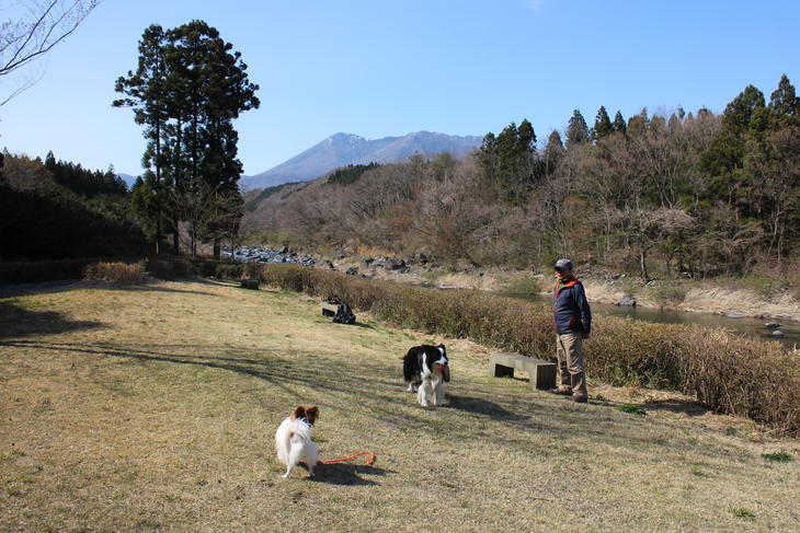 桜出張　その①_f0034602_20415884.jpg