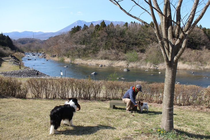 桜出張　その①_f0034602_20421618.jpg