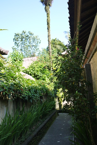 d0133704_13482710.jpg