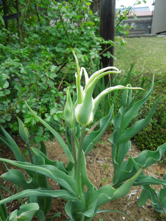 f0297809_22421053.jpg