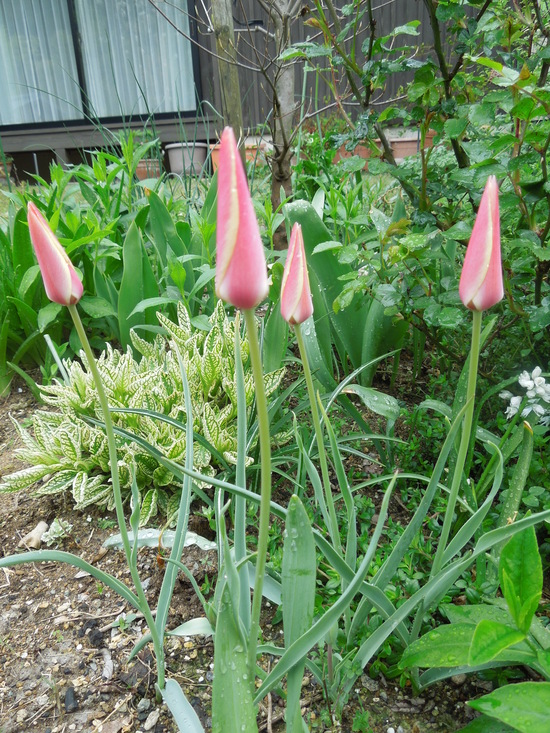 f0297809_22504450.jpg