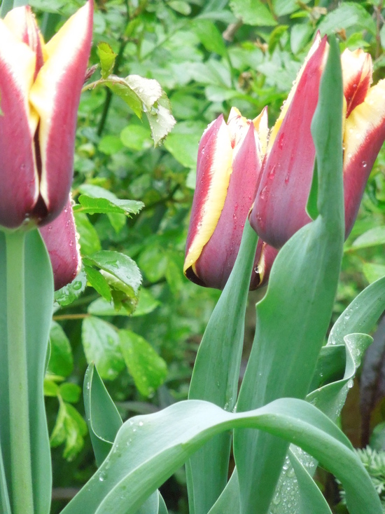 f0297809_22533550.jpg