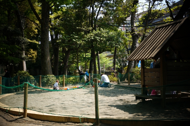 e0219011_10574272.jpg