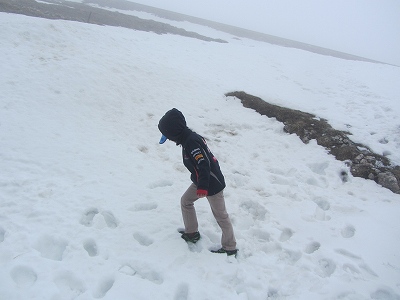 c0167813_21244.jpg