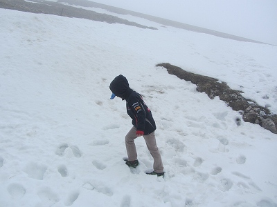 ２０１４年シャフベルク登山鉄道・ヴォルフガング湖船シーズンスタート！_c0167813_21244.jpg