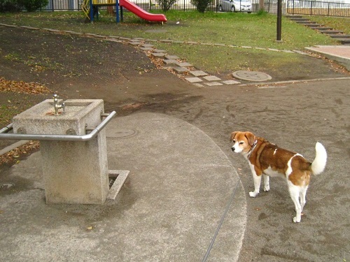 c0084117_2056048.jpg
