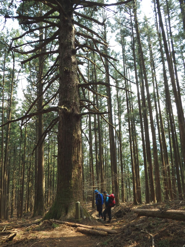 登友会～4月の月例登山＠武甲山_f0330321_22303495.jpg