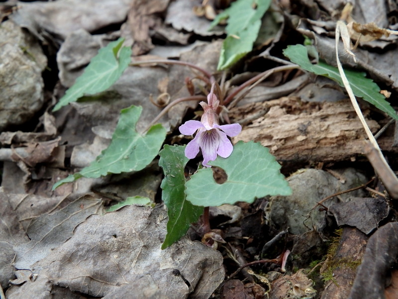 f0330321_22313196.jpg