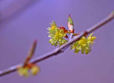 c0104227_12584071.jpg