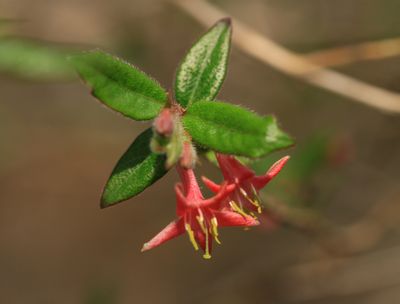 c0104227_13292786.jpg