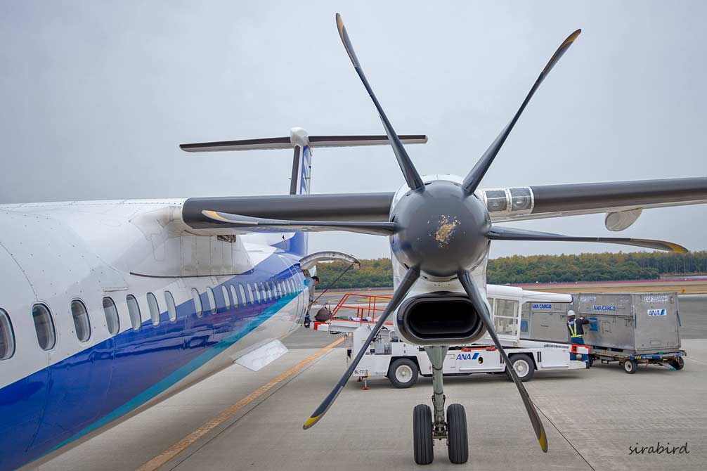 ９完 初めてのプロペラ機 熊本 伊丹空港 チャレンジ 日々の散歩道