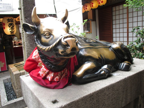 a0307846_2055273.jpg
