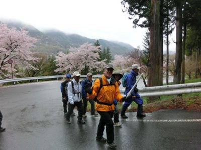 第2回お茶壷道中「大ケヤキ・桜・・・時々雨」_f0019247_23394960.jpg