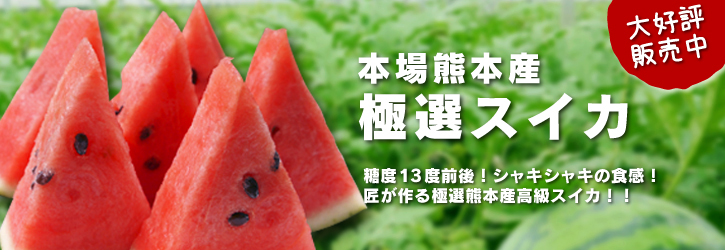 株式会社旬援隊はこんなとこです!満開の八重桜と敷地内の様子_a0254656_1955321.jpg