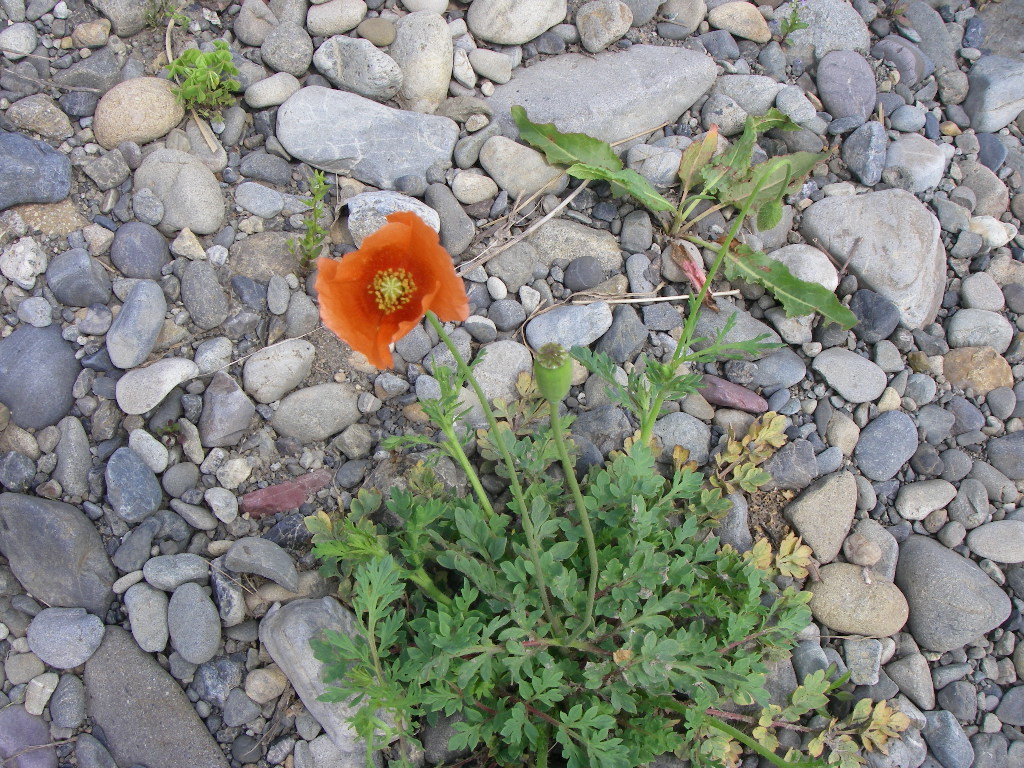 a0130057_0351189.jpg
