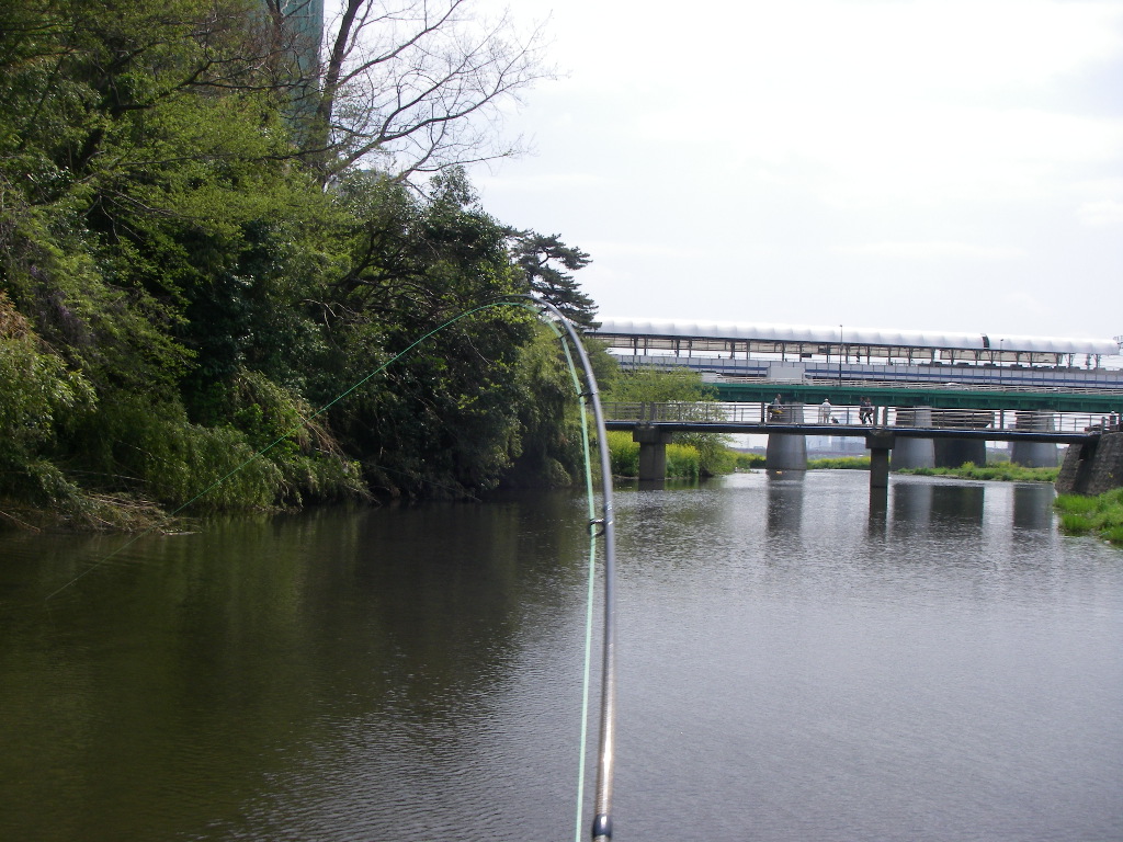 a0130057_03811100.jpg