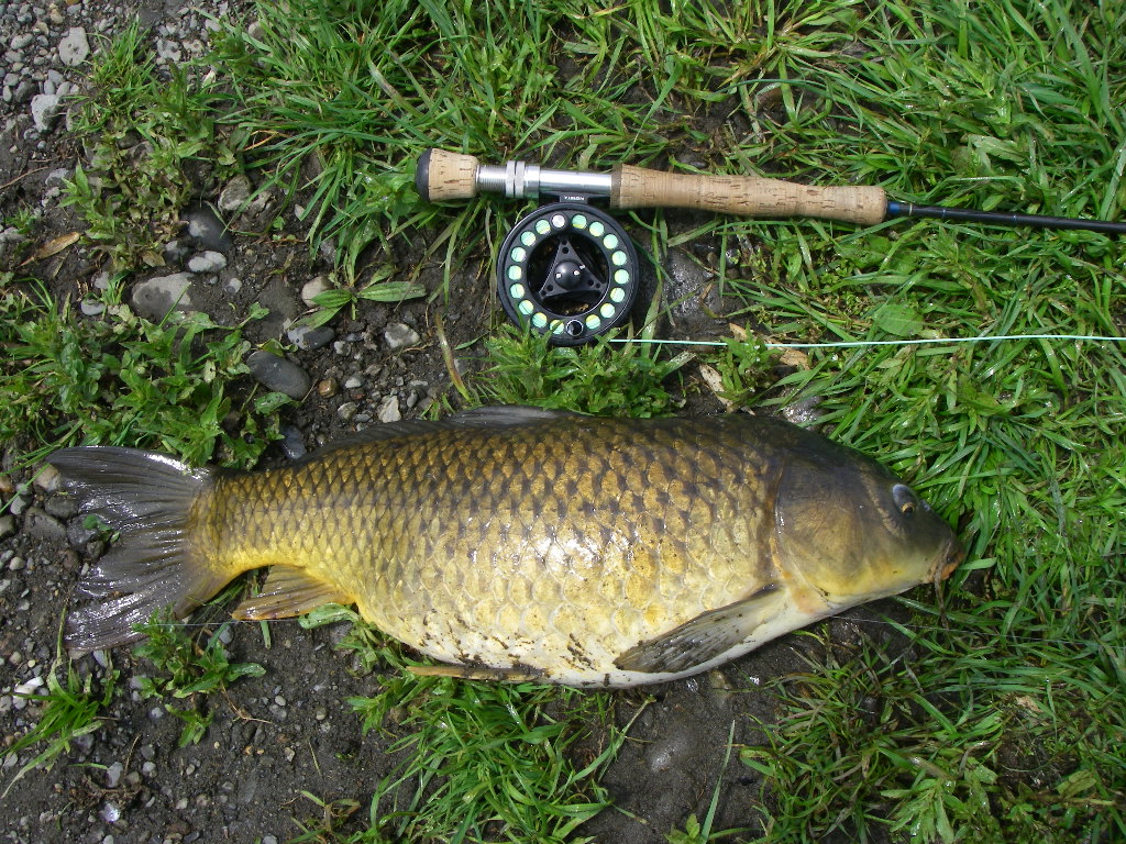 a0130057_038573.jpg