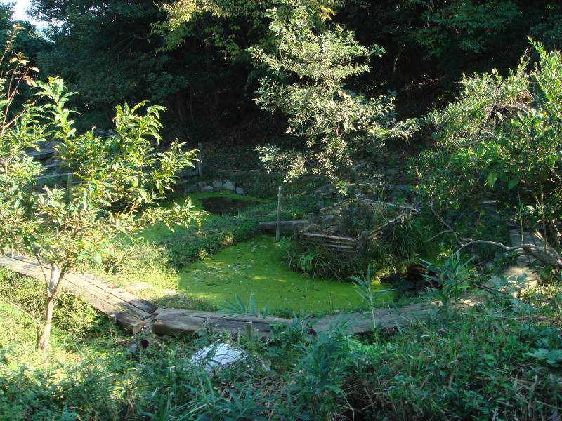 c0108460_17512117.jpg