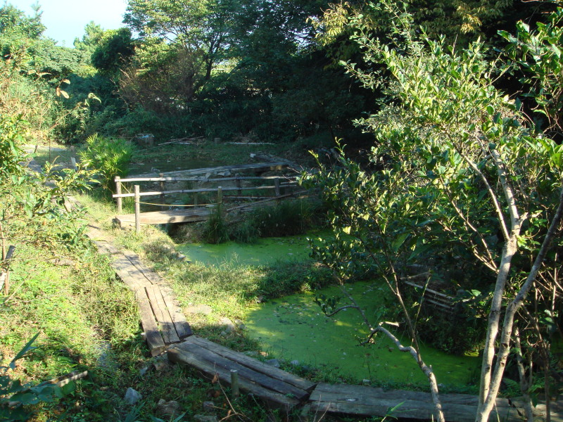 c0108460_17512292.jpg