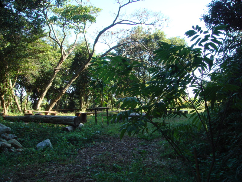 c0108460_17512323.jpg