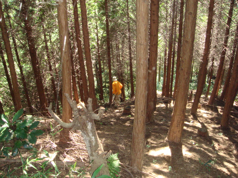 c0108460_20415373.jpg