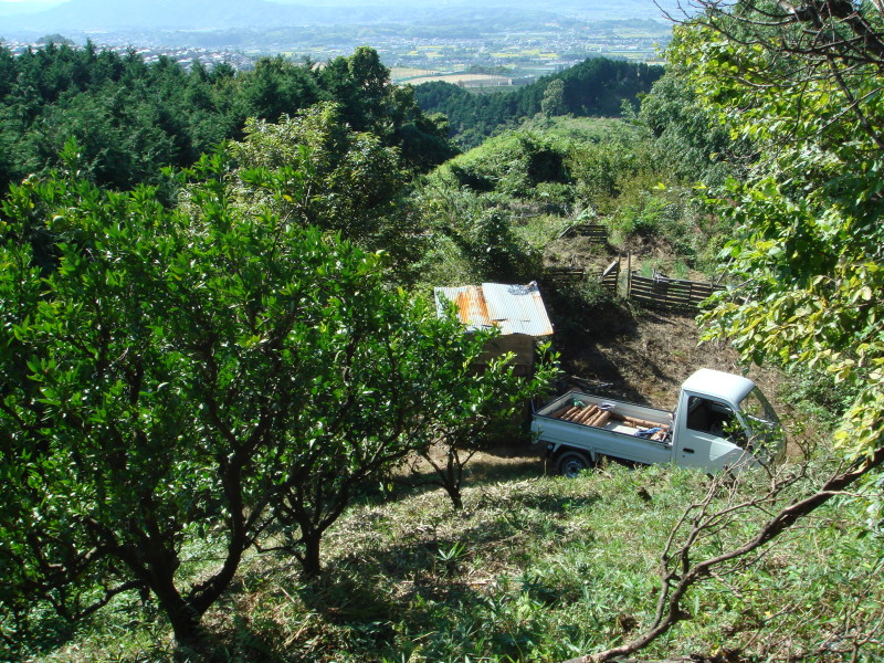 c0108460_20415503.jpg