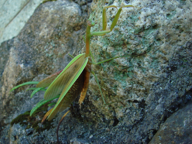 c0108460_20462236.jpg