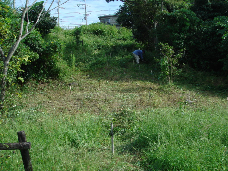 公園内植樹…（枯れ木撤去　周辺草刈り　剪定）　in　　うみべの森_c0108460_22560441.jpg