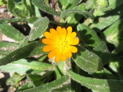 c0190960_646195.jpg