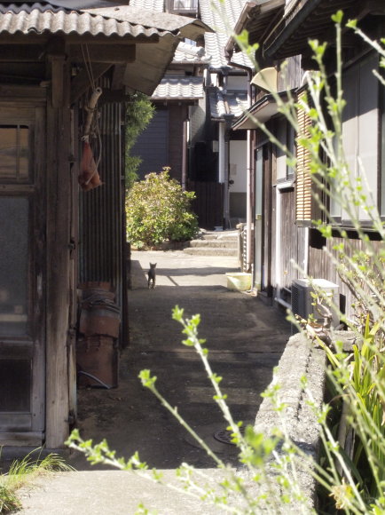 福岡の猫島・相島に行ってみた！島の小道_e0255060_23571352.jpg