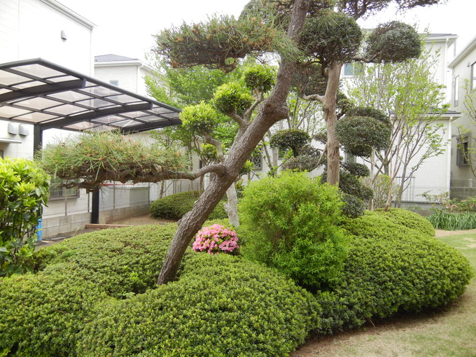 ’14,4,21(月)母に会いにいったよ~!_f0060461_1033940.jpg