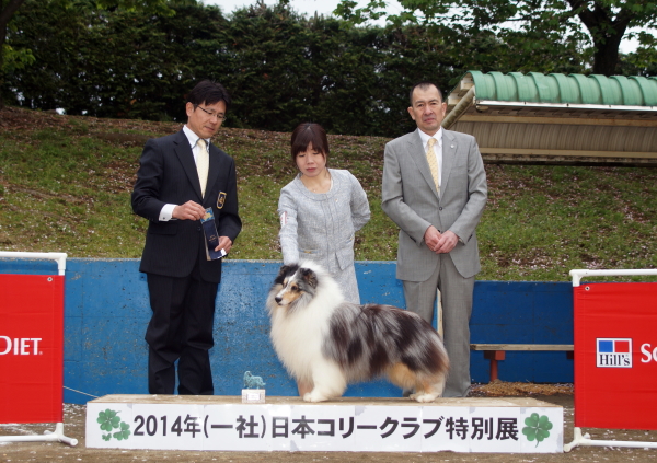 2014 コリークラブ特別展_f0126965_2033536.jpg