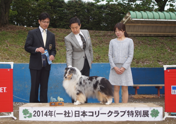 2014 コリークラブ特別展_f0126965_2042152.jpg