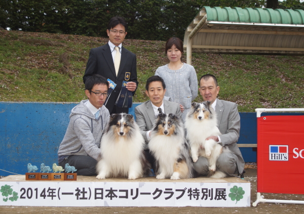 2014 コリークラブ特別展_f0126965_2091079.jpg