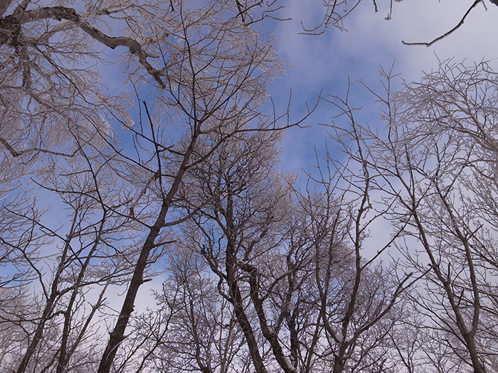 f0054366_22360330.jpg