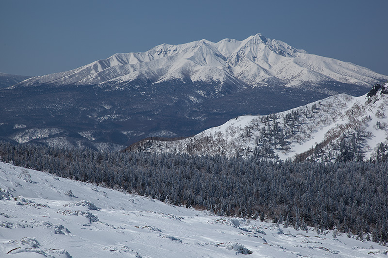 f0054366_22550039.jpg