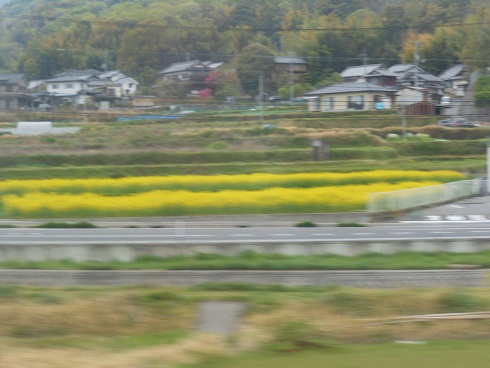 安浦の車窓から_e0175370_97053.jpg
