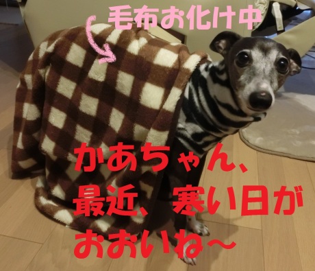 f0223972_07044372.jpg