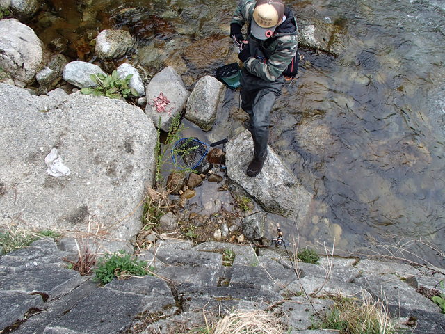 岐阜宮川釣行　釣行記　2014.04.20_a0093677_2216593.jpg