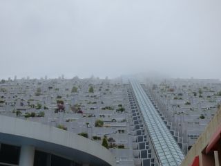 2014年4月21日 頭いたい。。。_b0098584_1914546.jpg