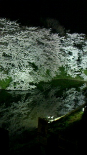 f0168392_14105020.jpg