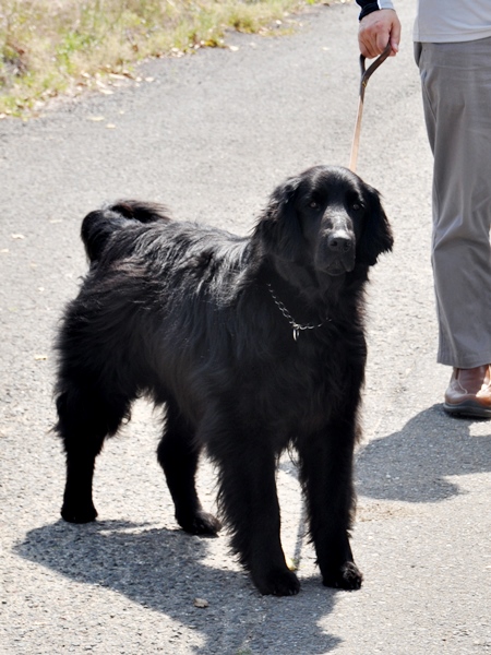 北の大地からようこそ！！(序章） _f0176499_223577.jpg