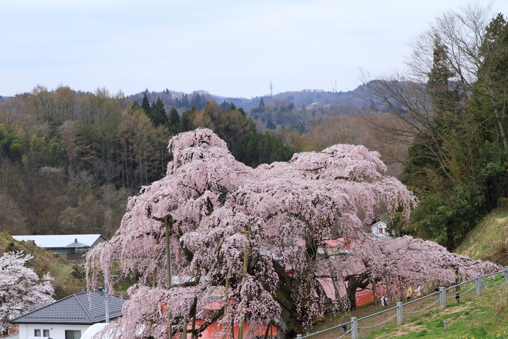 f0034602_2111982.jpg