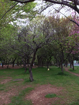 a0134004_21454624.jpg