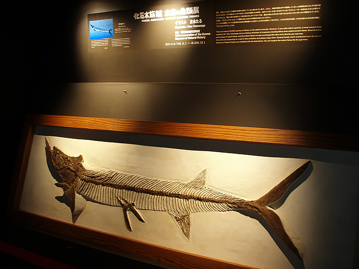 「化石水族館　太古の魚類展」_f0292806_09222595.jpg