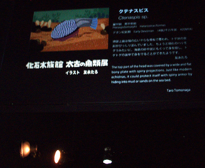 「化石水族館 太古の魚類展」_f0292806_09224153.jpg