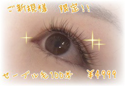 f0248512_16534621.png